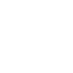 flèche icon